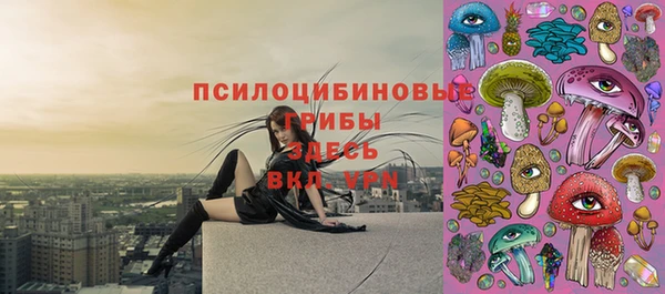 2c-b Богородицк