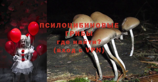 2c-b Богородицк