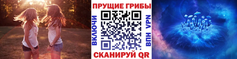 Галлюциногенные грибы прущие грибы  купить закладку  Новохопёрск 